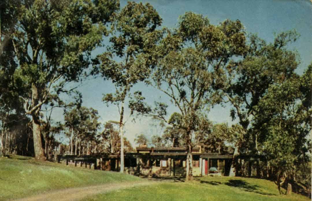 'HOUSE AND LAND ore indivisible ...' This view of the Knox home from the north shows how naturally it merges with its environment, seems to grow out of the soil A wide area had to be excavated, but it was done with a landscape artist's respect for the character of the land Mr Knox preserved as many of the existing gum trees as possible, and repeated their rhythms in his house.